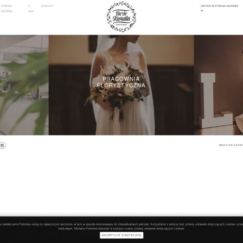 Panele z mchu w krakowie