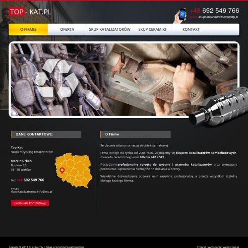 Skup katalizatorów ceny w Katowicach