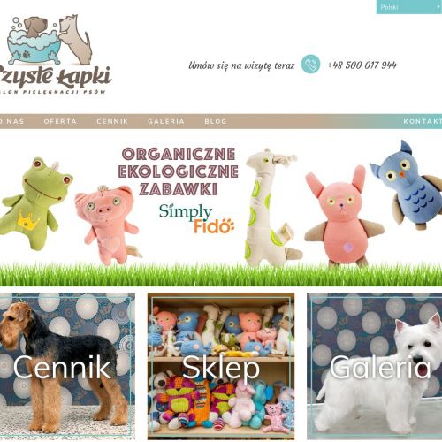 Pielęgnacja psa w Warszawie