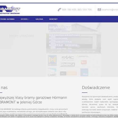 Bramy automatyczne w Gryfowie Śląskim