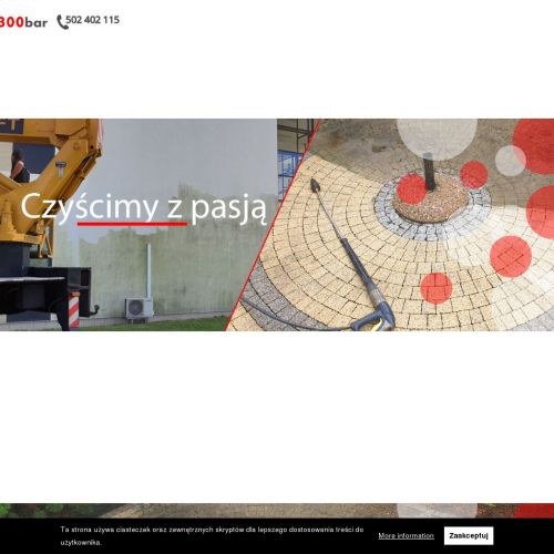 Mycie posadzek wielkopolska