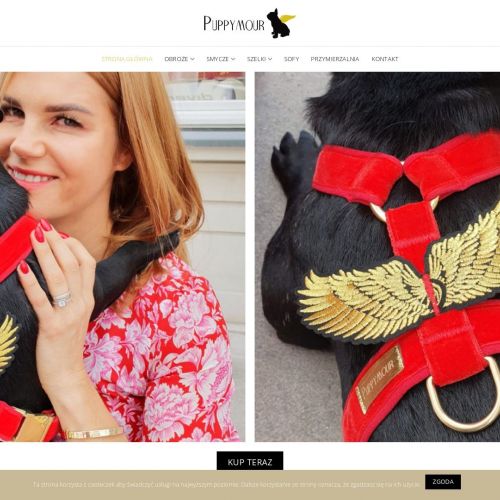 Designerskie obroże dla psów