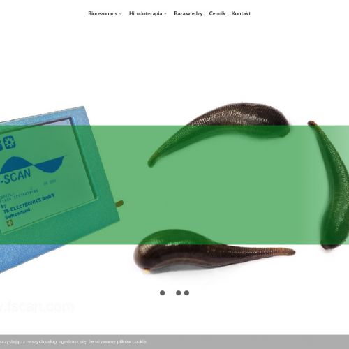 Siedlce - biorezonans