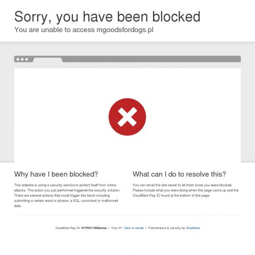 Szampon dla szczeniąt