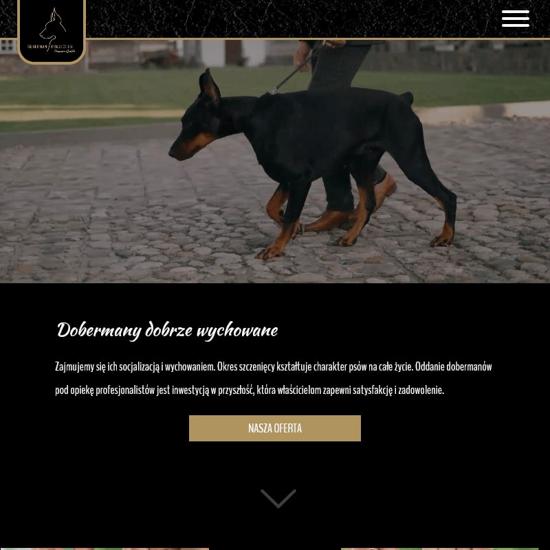 Wrocław - doberman trening