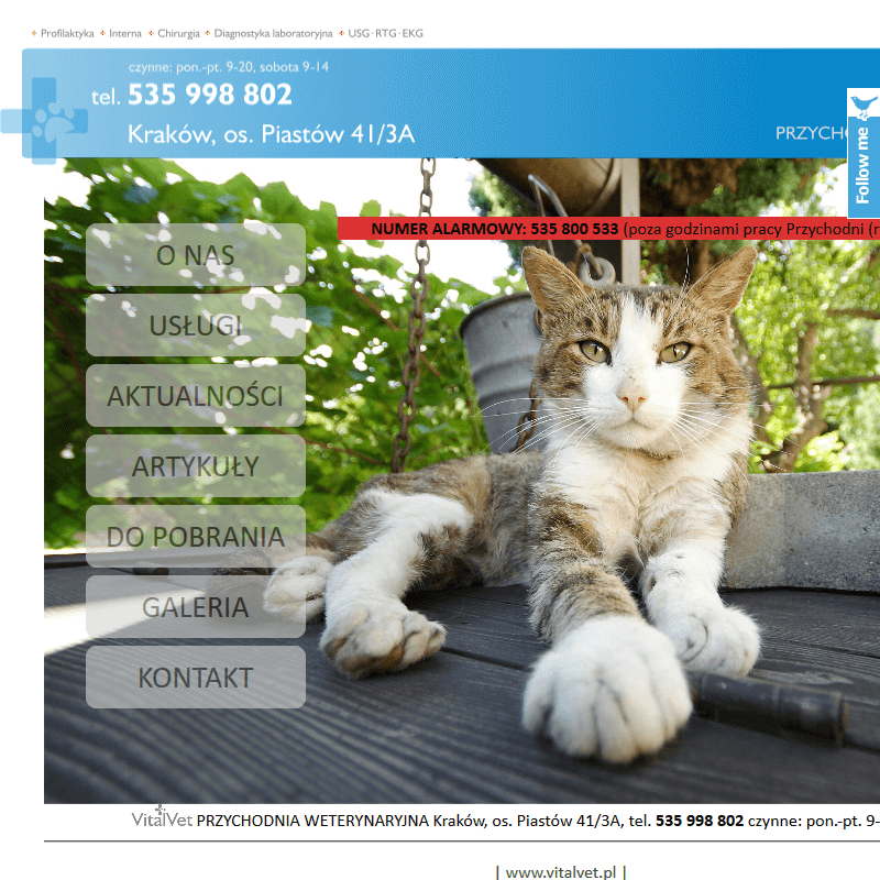 Cennik weterynarz w Skawinie